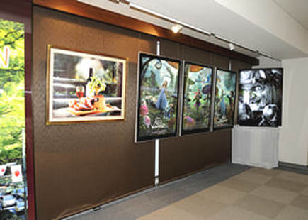 Picture
